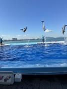 ���� 07ǯ11��22�����������˸�ή�񡡻͹��²�� 17̾����